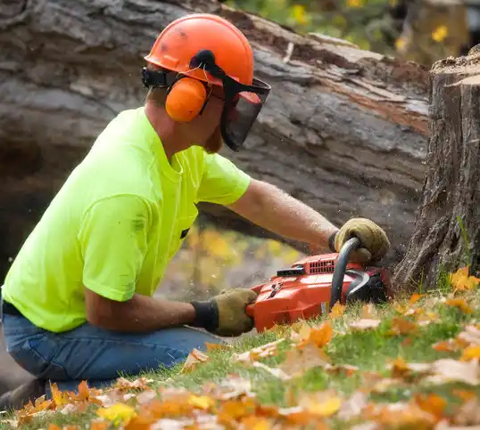 tree services Closter